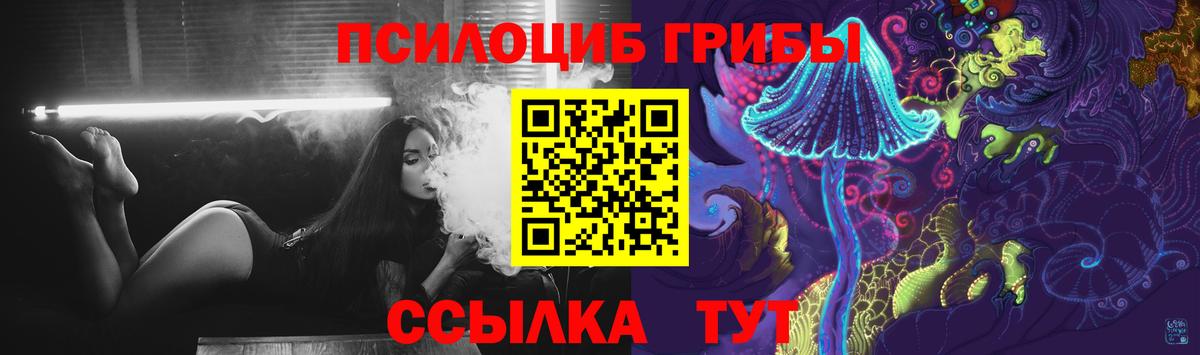 Псилоцибиновые грибы Cubensis Богородицк